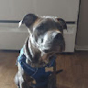 Meet your Posher, Christopher